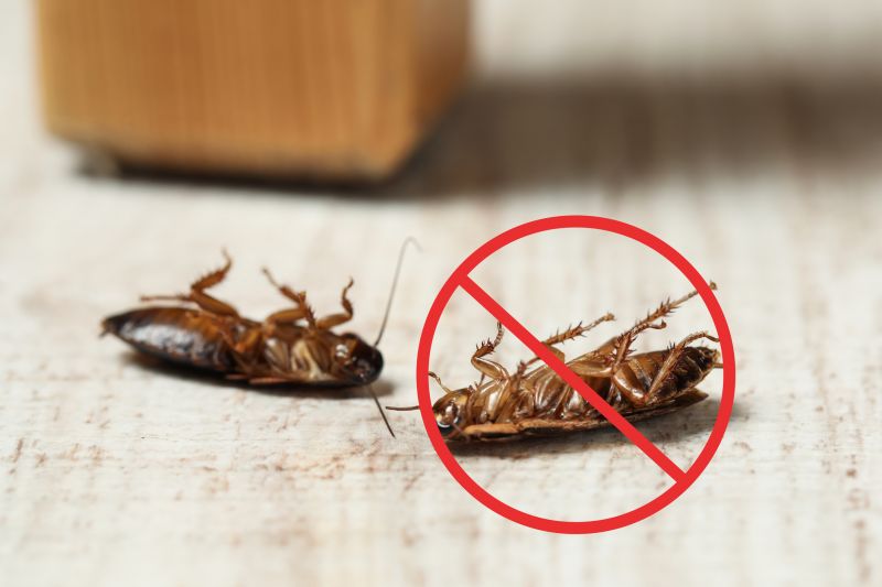 Cockroach Control Service