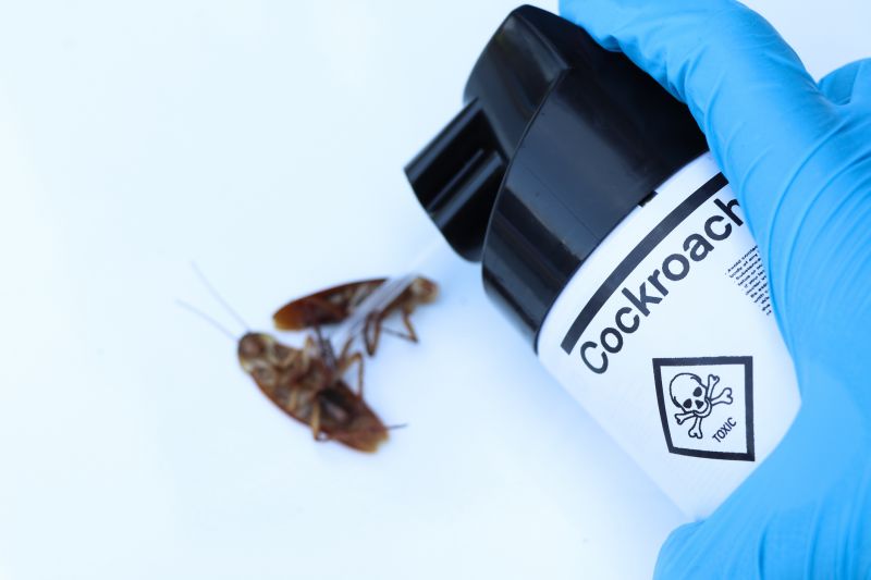 Cockroach Fumigation Service